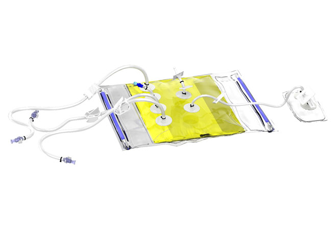 Cultivation system showing the plastic bags. Each bag contains 25 L of... |  Download Scientific Diagram