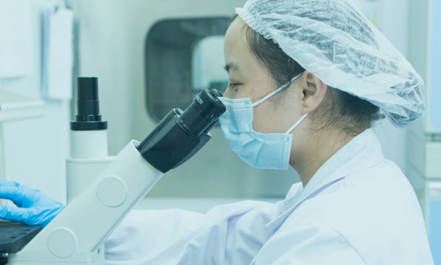 多联平行生物反应器：高通量筛选助力工艺表征