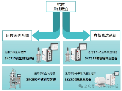 定义体外诊断新性价比，打开规模化原料制备方案
